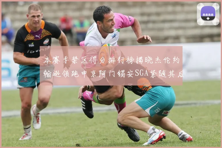 本赛季禁区得分排行榜揭晓杰伦约翰逊领跑申京阿门锡安SGA紧随其后