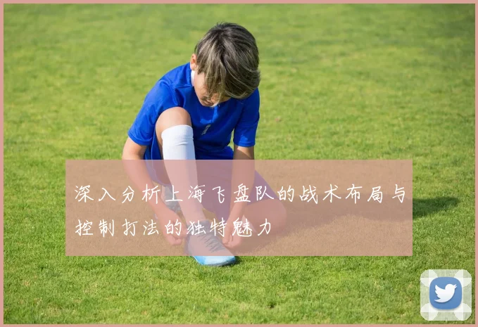 深入分析上海飞盘队的战术布局与控制打法的独特魅力