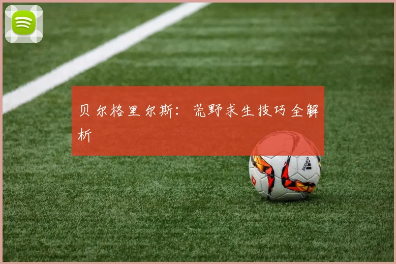 贝尔格里尔斯：荒野求生技巧全解析
